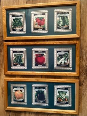 Vintage 3 -Piece Framed Seed Packet Wall Art Set in Teal -